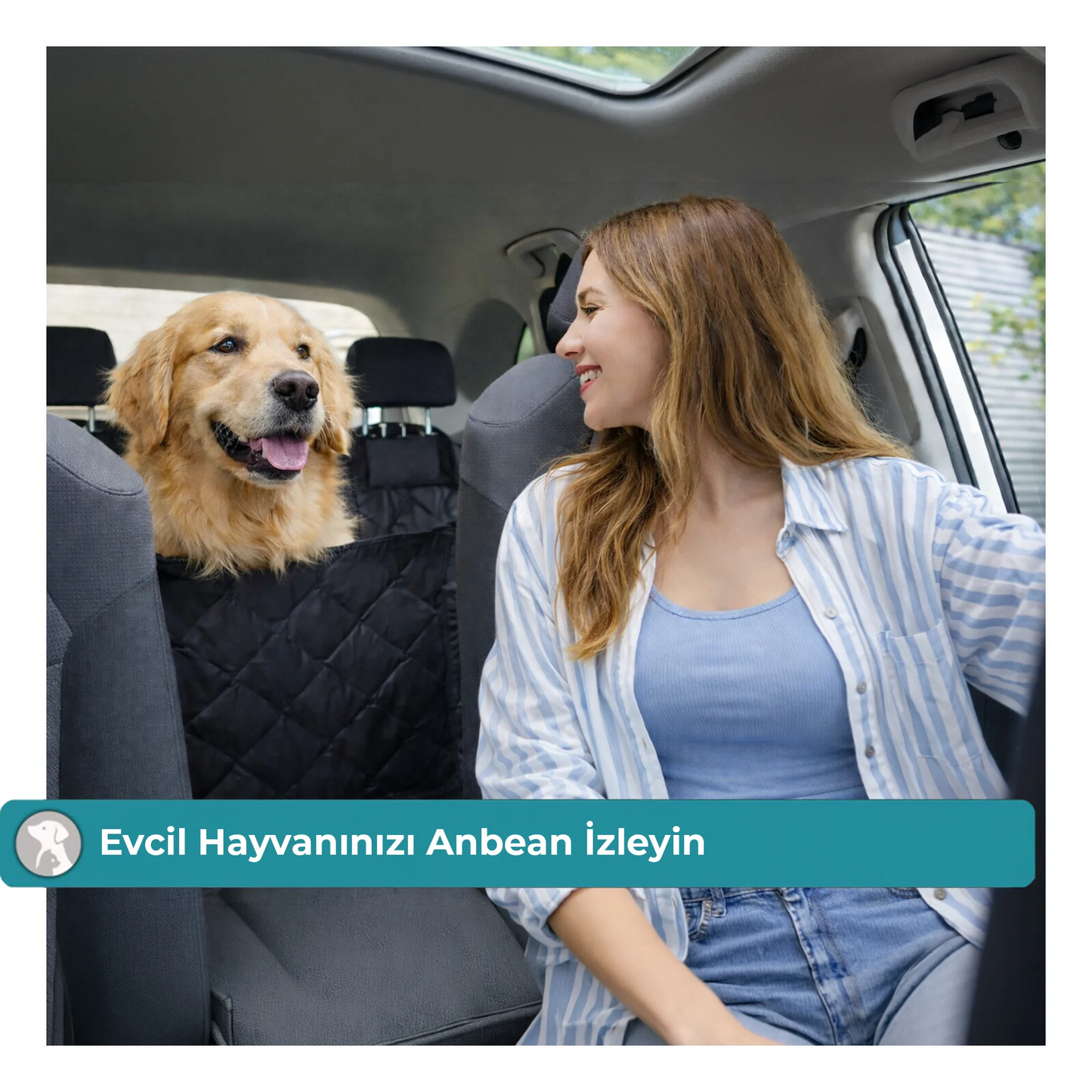 Köpek Araba Arka Koltuk Kılıfı